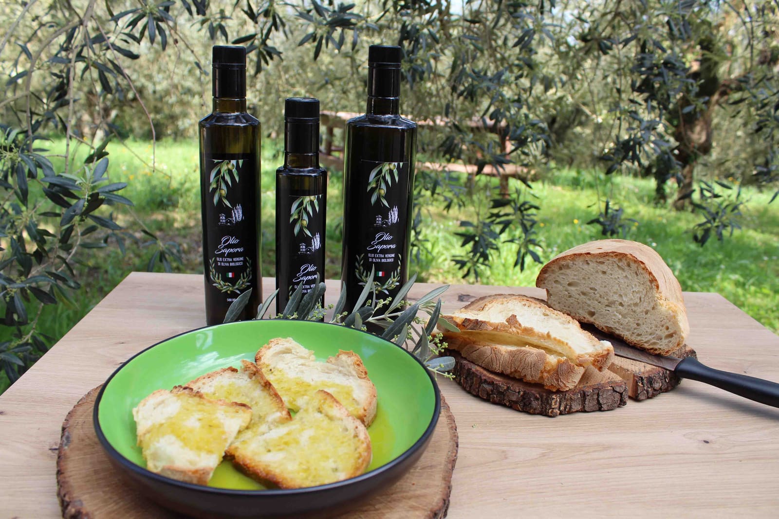 Photos of the Sapora olive groves and olives