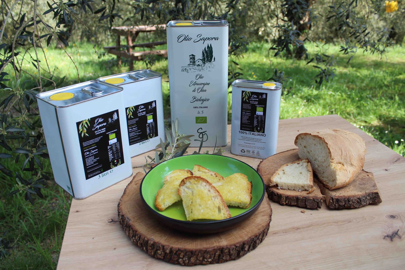 Photos of the Sapora olive groves and olives