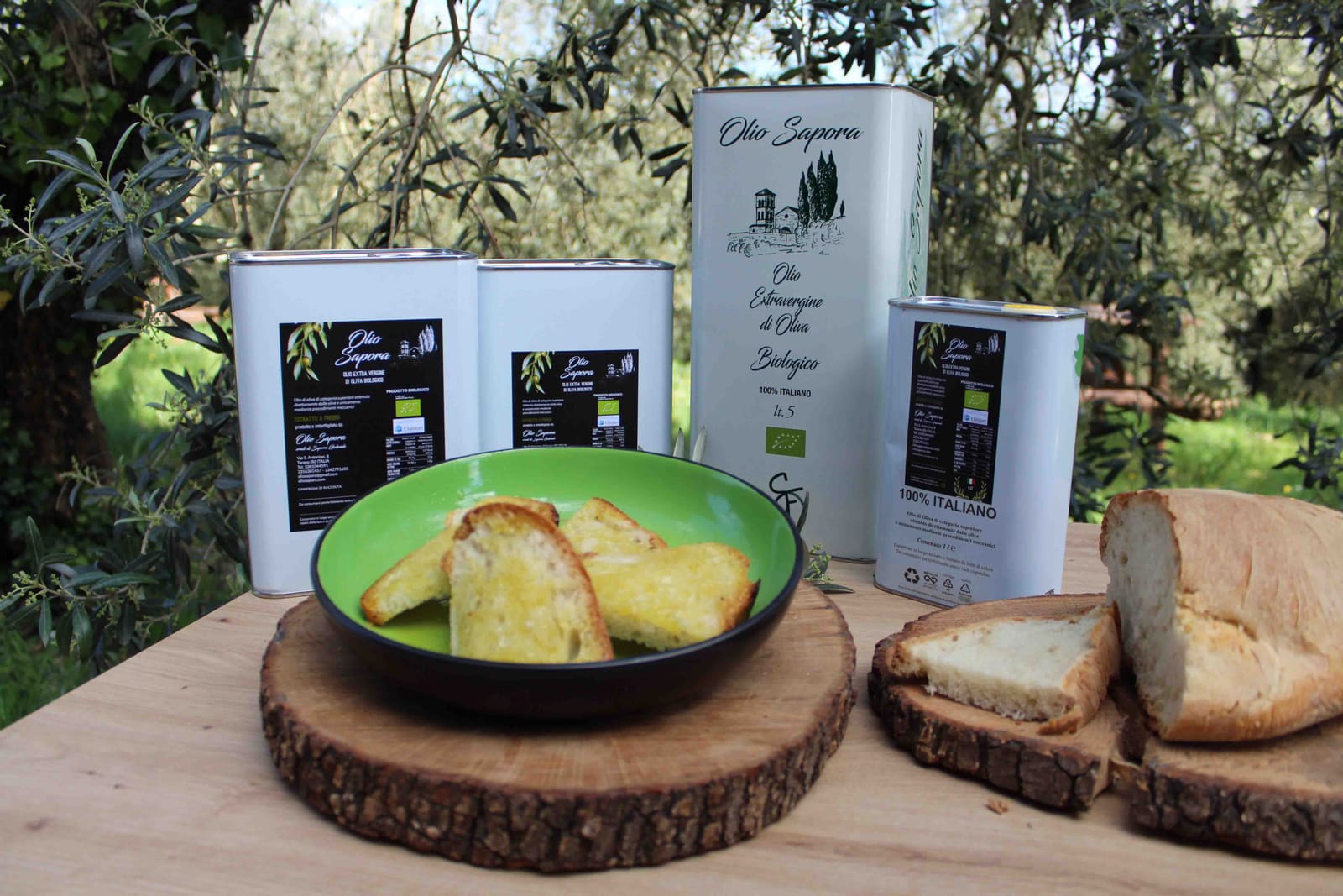 Photos of the Sapora olive groves and olives