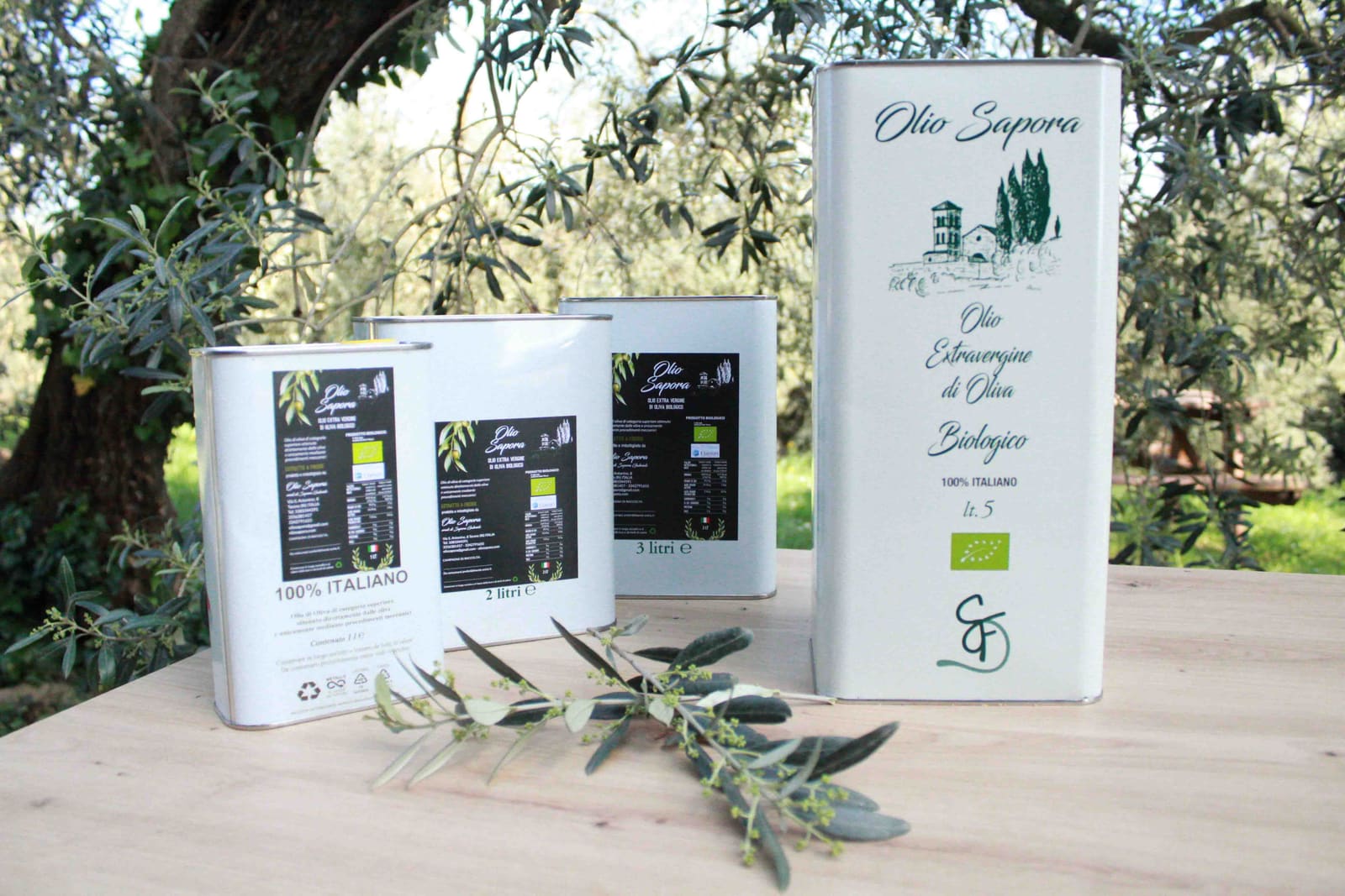 Photos of Sapora olive oil bottles and formats