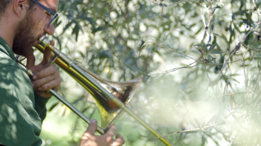 Uliveto Sapora